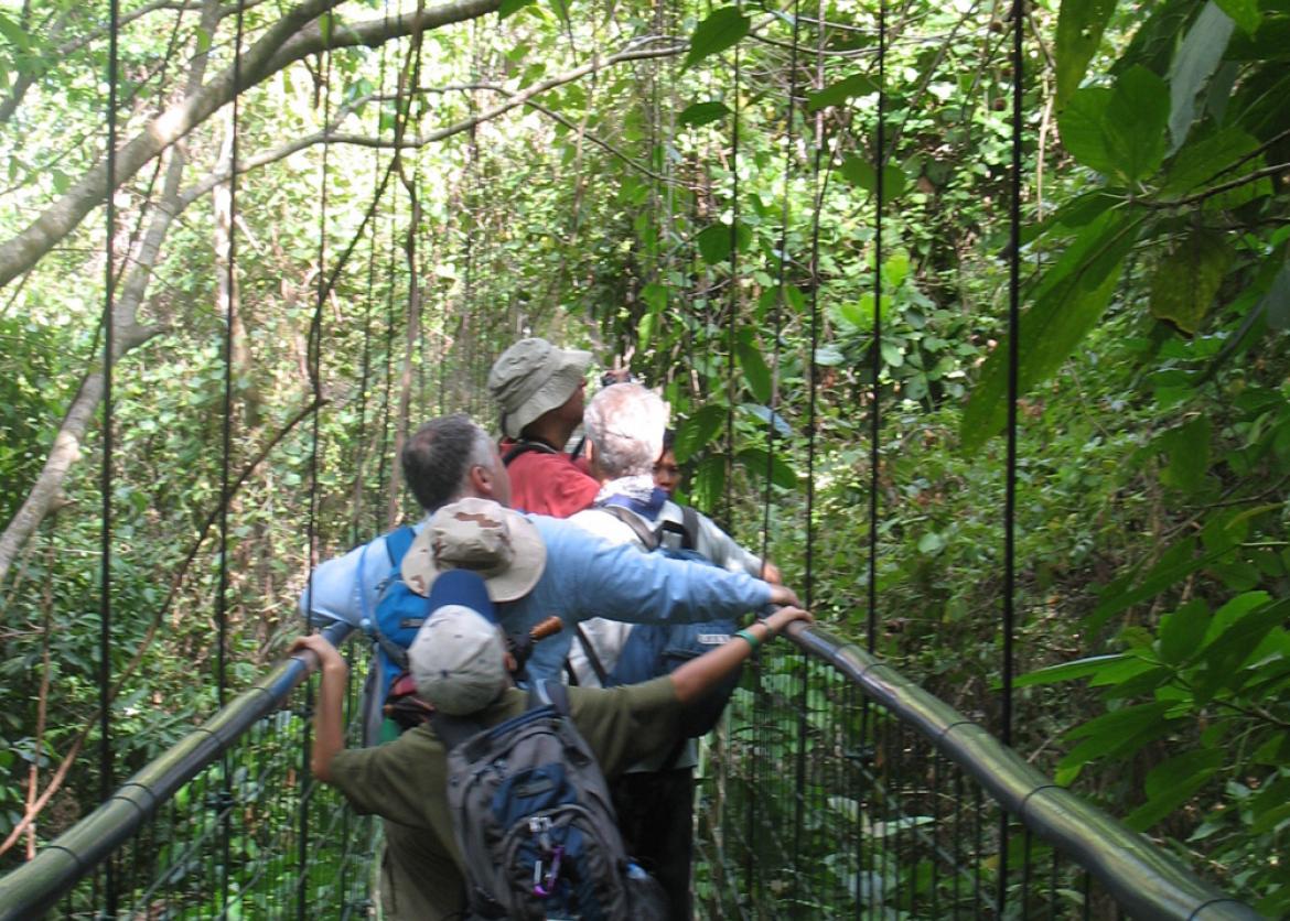 Summer Fun in Costa Rica: A Family-Friendly Outing