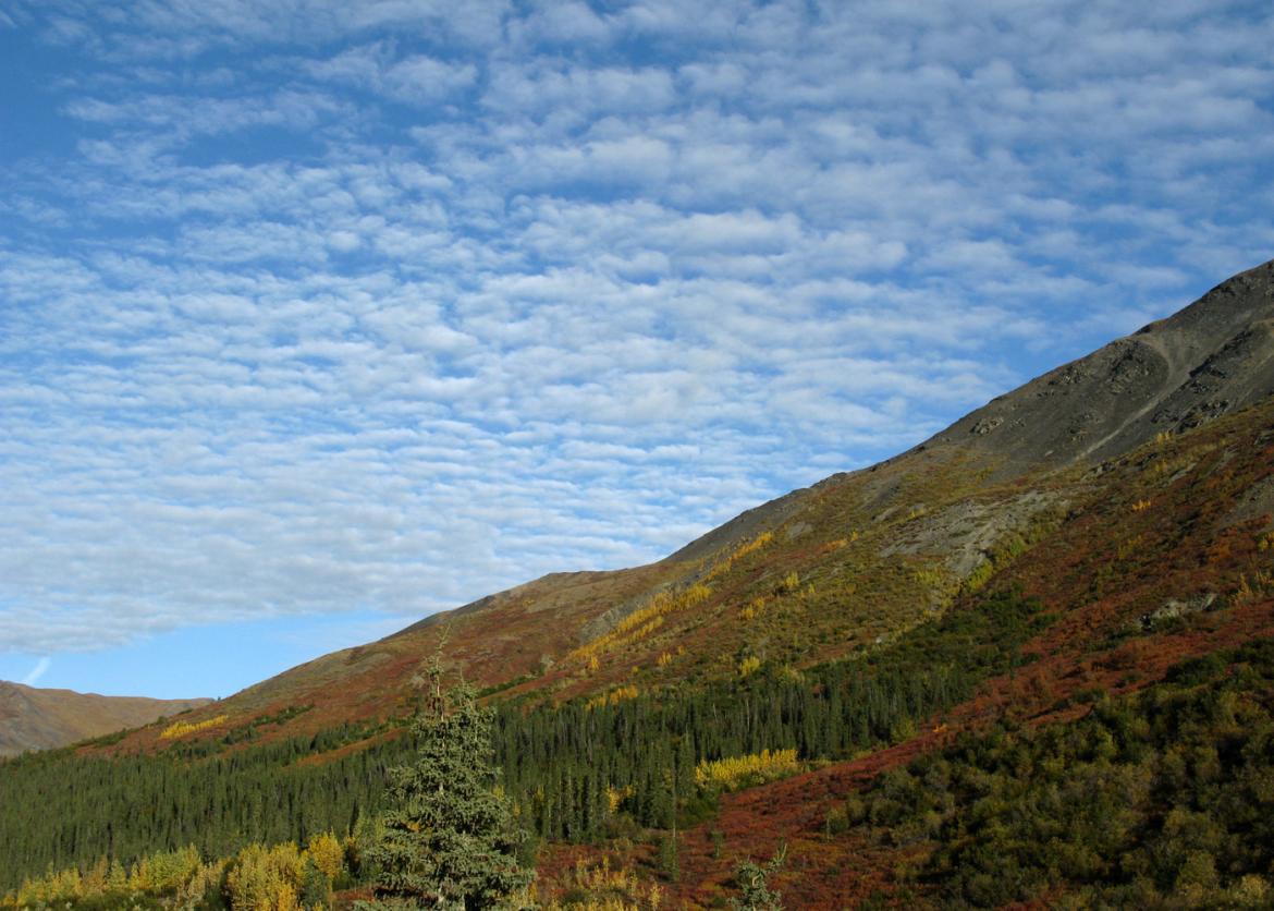 Western Brooks Range Ramble, Noatak National Preserve, Alaska