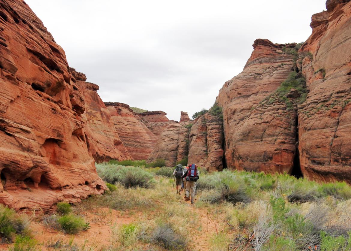Backpacking Paria Canyon: A Week of Visual Surprises, Arizona and Utah