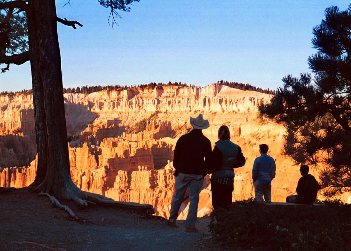 Four people on an overlook gaze at the wall of a sunlit canyon.