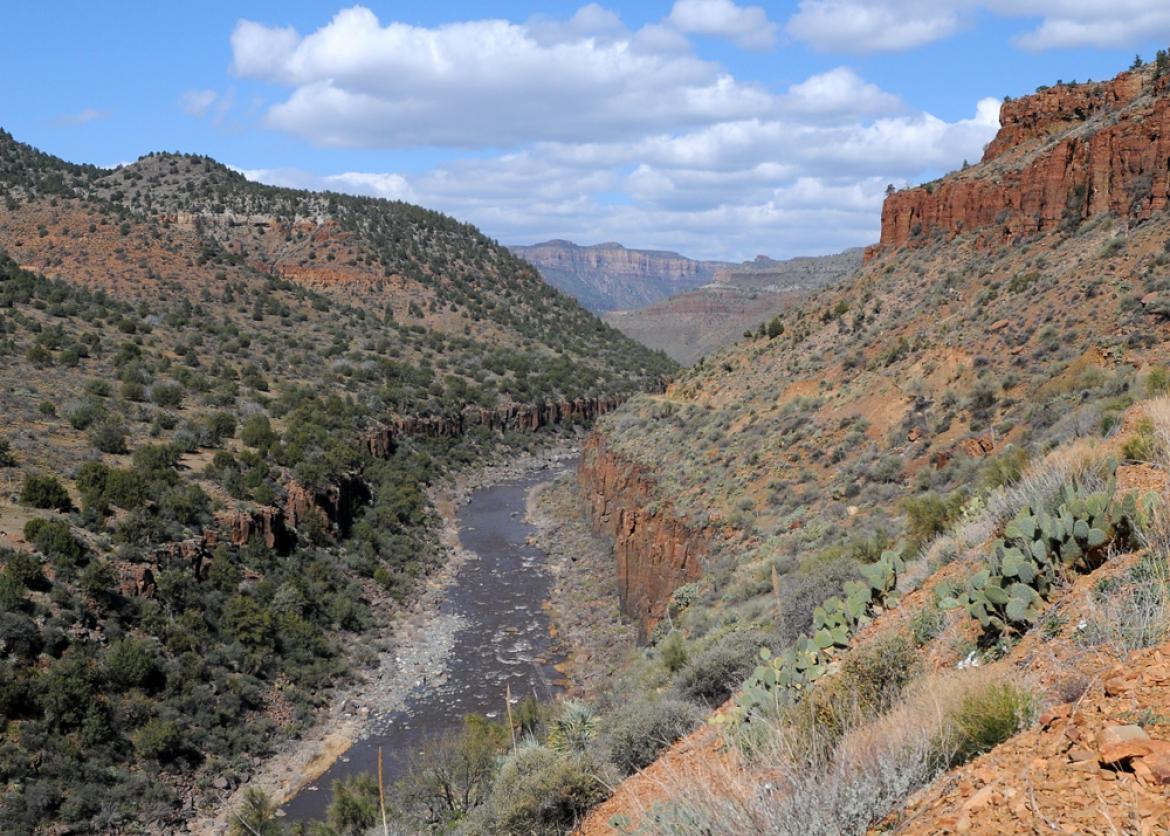 Spring Rafting, Hiking, Wildflowers, and Wilderness Canyons, Upper Salt River, Arizona