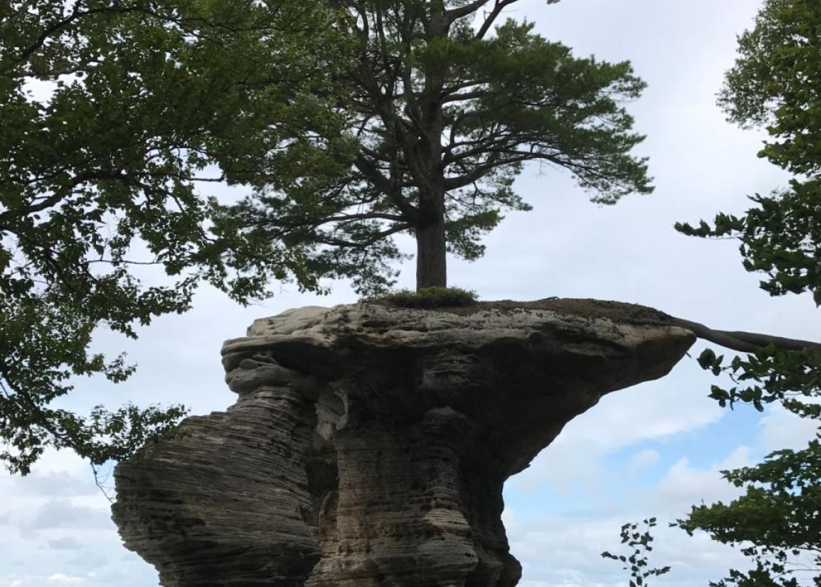 A large rock with a single tree growing on top of it.