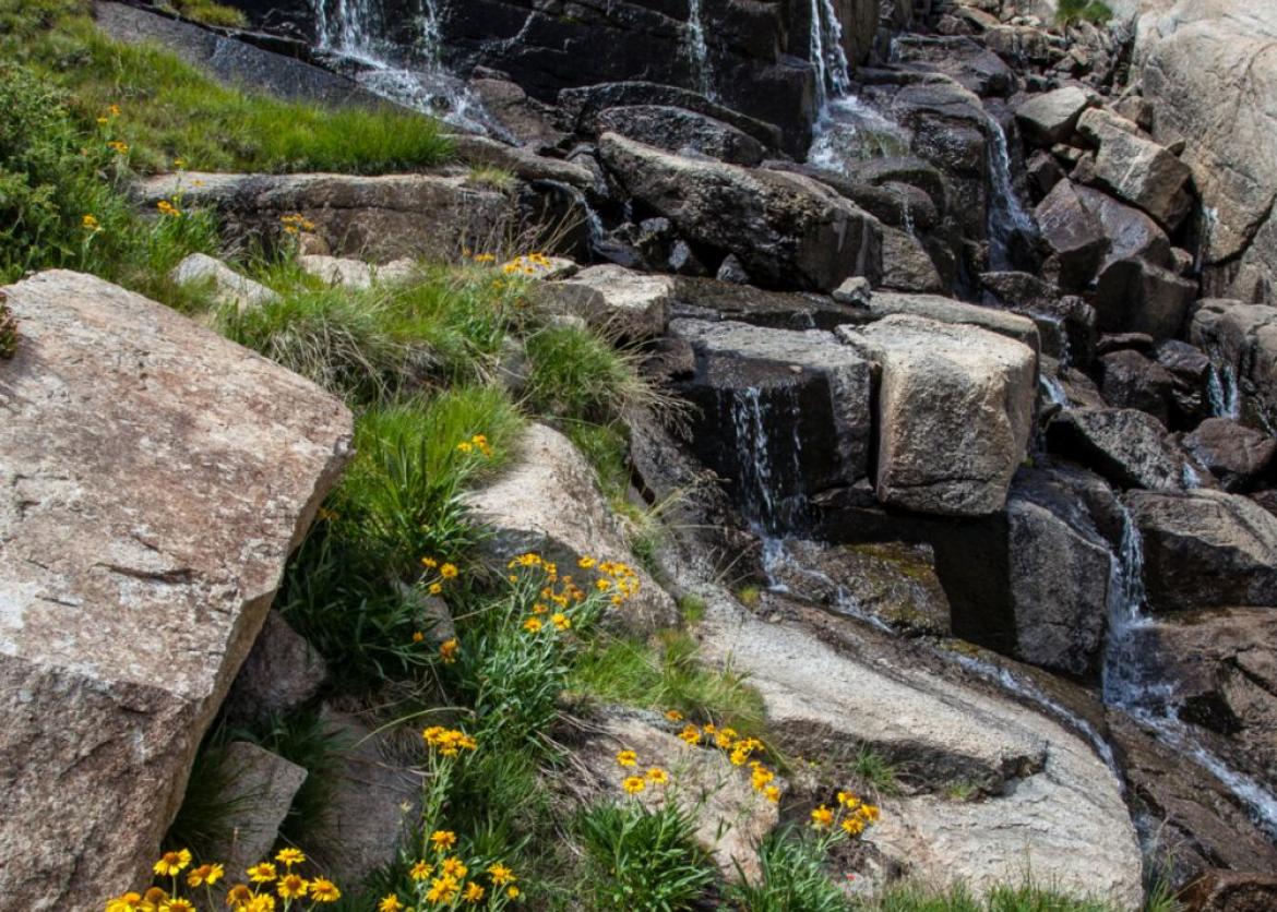 Waterfall and yellow wildflowers in the Sierra mountains of California