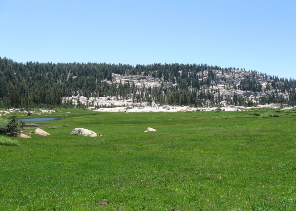 Stepping off the Trail: Beginner Cross-Country Backpacking in the Emigrant Wilderness, California