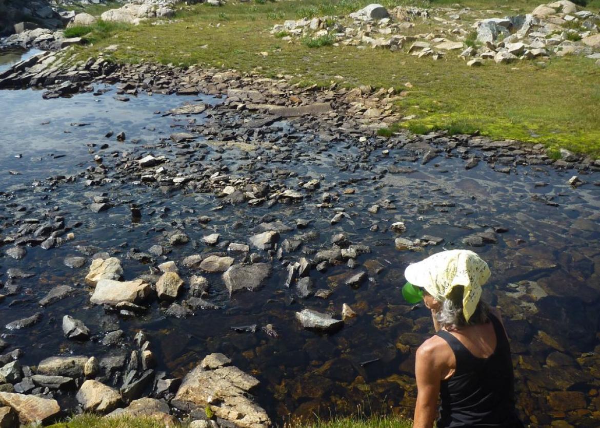 Sixty Lakes and More in Kings Canyon National Park, California