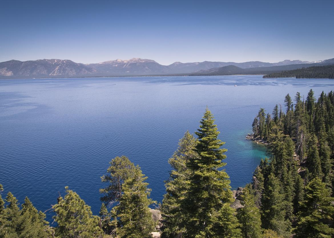 A view of the bright blue Lake Tahoe with pine trees in the foreground