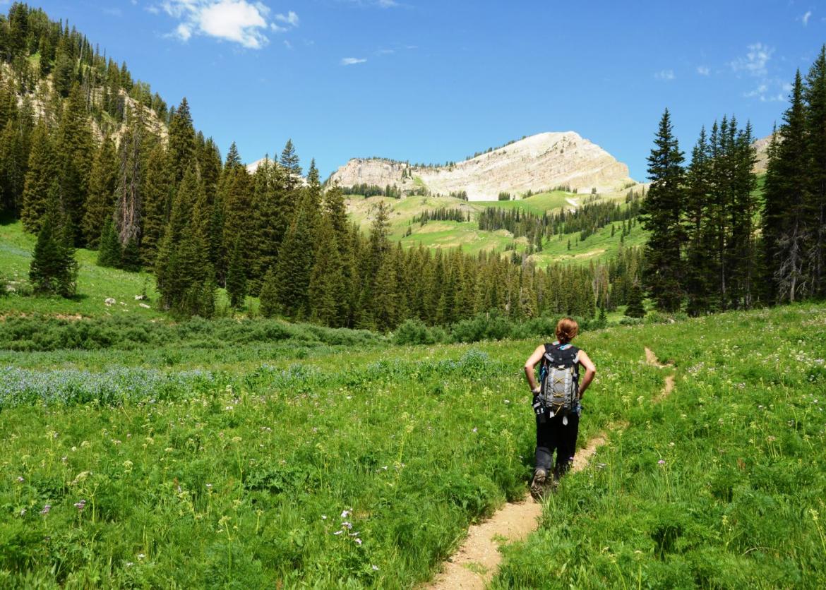 Yellowstone and Grand Teton Adventure for Women, Wyoming