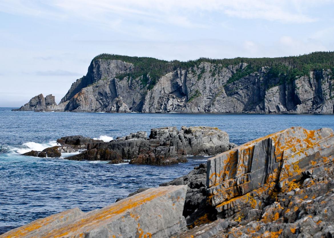 Puffins, Whales, and Coastal Trails: Hiking Newfoundland's East Coast Trail, Canada