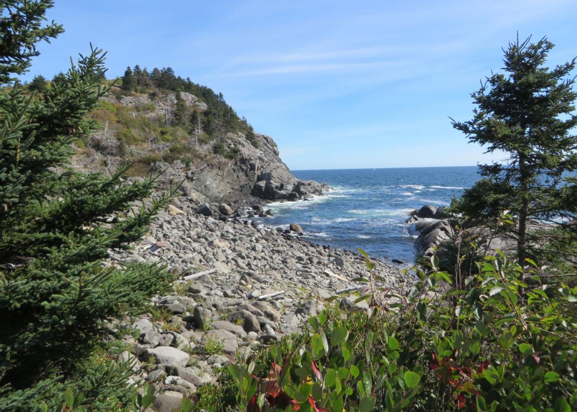 A side view of the coast with cliffs and trees in front.