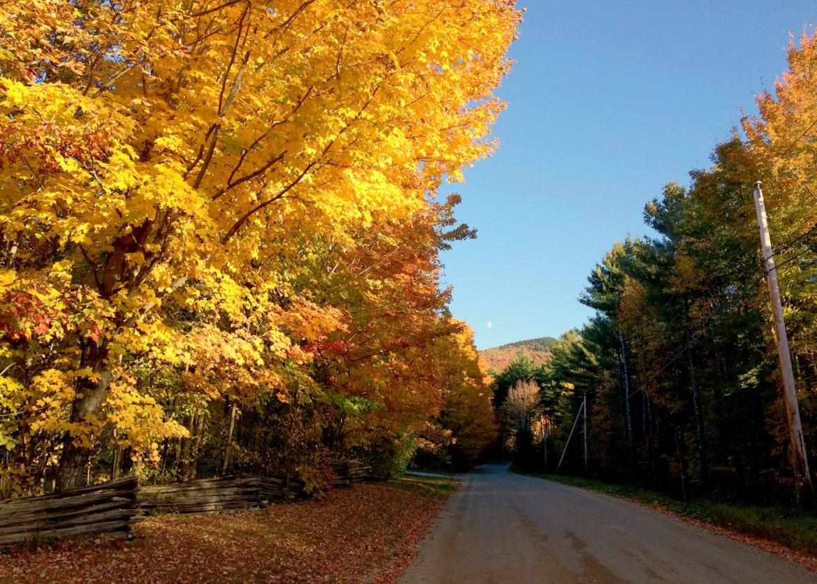Road with colorful autumn foliage on either side.