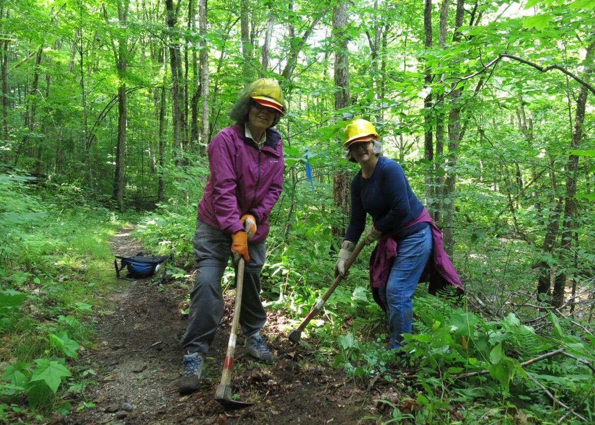 Two women digging the ground in the woods.