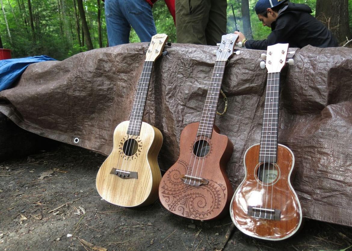 Three different style guitars against a log.