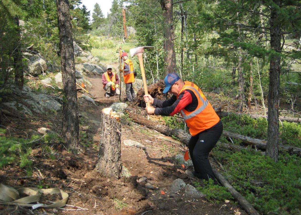A person in a high visibility vest swings an axe at a tree stump. Two people stand and rest in the background.