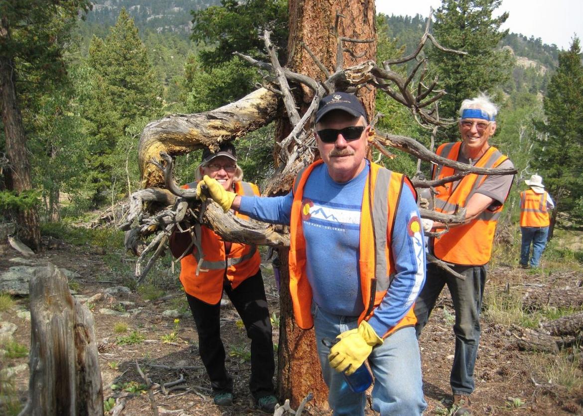Three people in high visibility vest cluster around a tree with dead and gnarled branches.