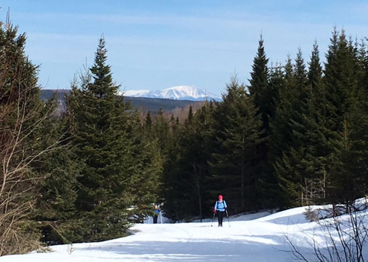 Maine Woods Classic Cross-Country Ski