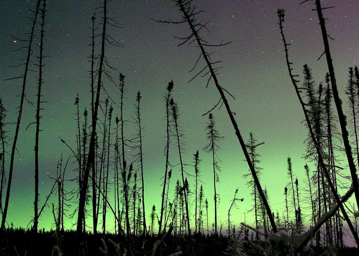 Ice, Northern Lights, and Hot Springs in Fairbanks, Alaska