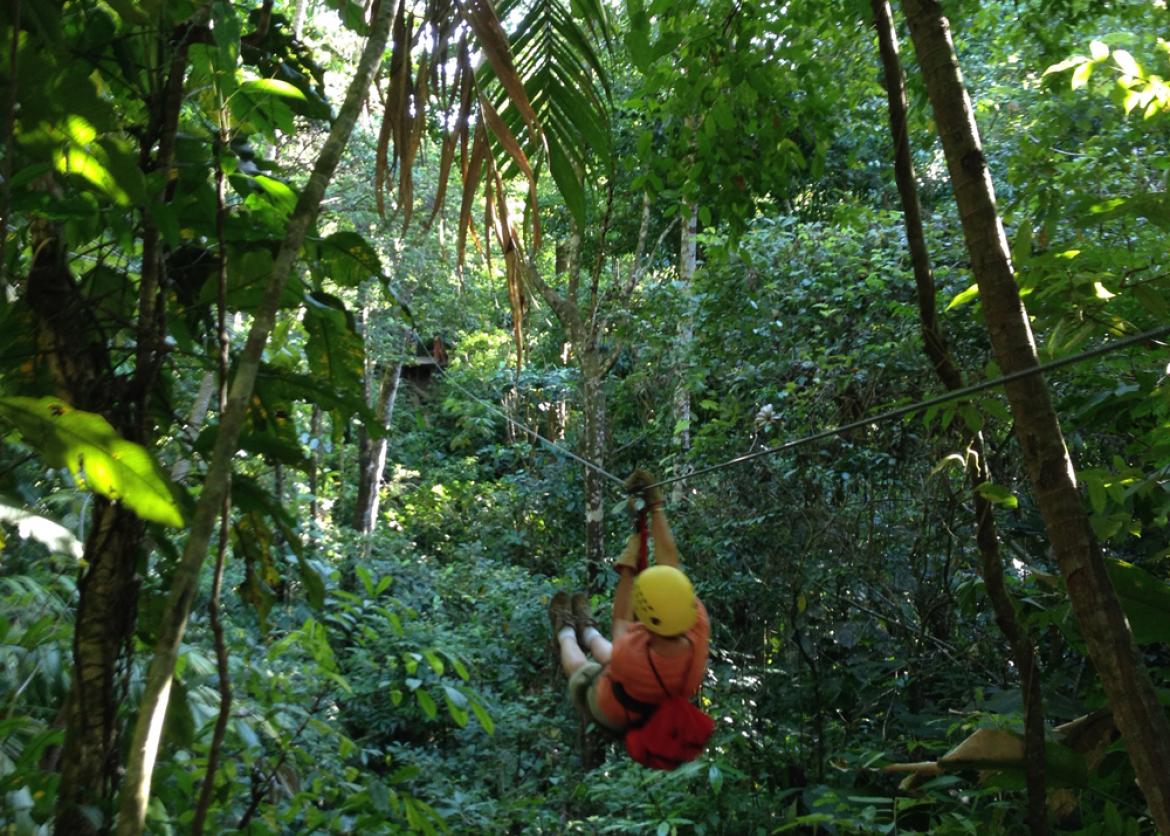 A woman ziplines through the forest.