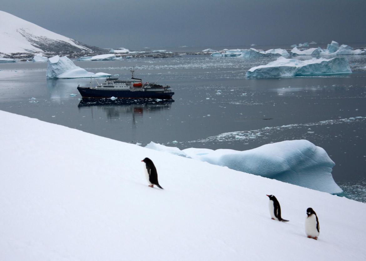 Active Adventure on the Seventh Continent, Antarctica