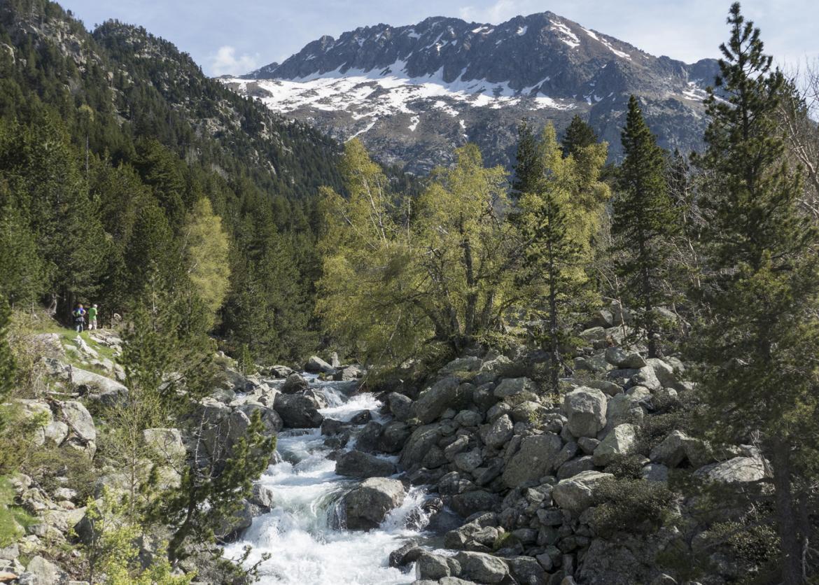 A cascading river rushes between trees and rocks.  Behind it is a snowy peak.  In the distance a couple of people can be seen hiking near the river.