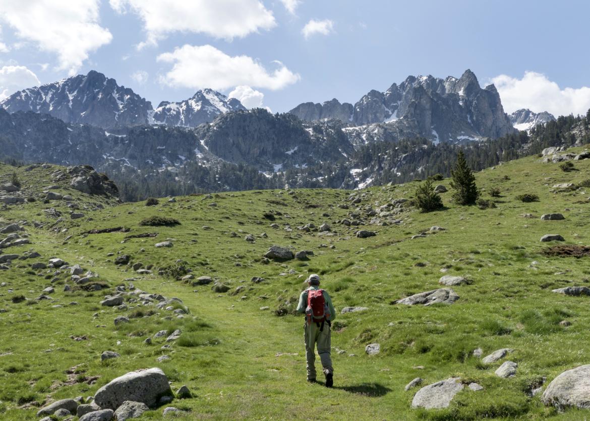 A hiker on a grassy path walks through a field dotted with rocks towards a distant snow covered ridge.