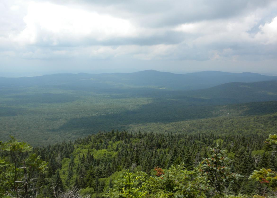 National Outings Training Trip - Service in Vermont's Green Mountain National Forest
