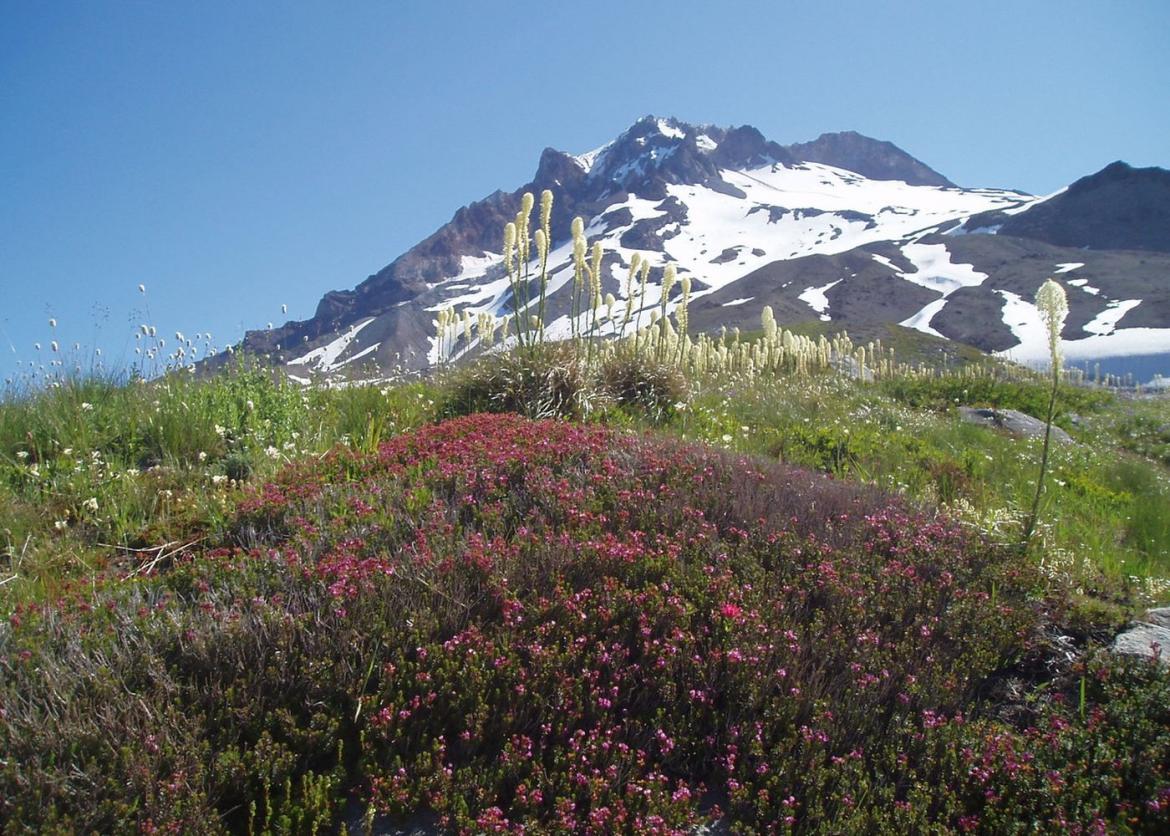 Trekking on the Timberline Trail, Mt. Hood, Oregon