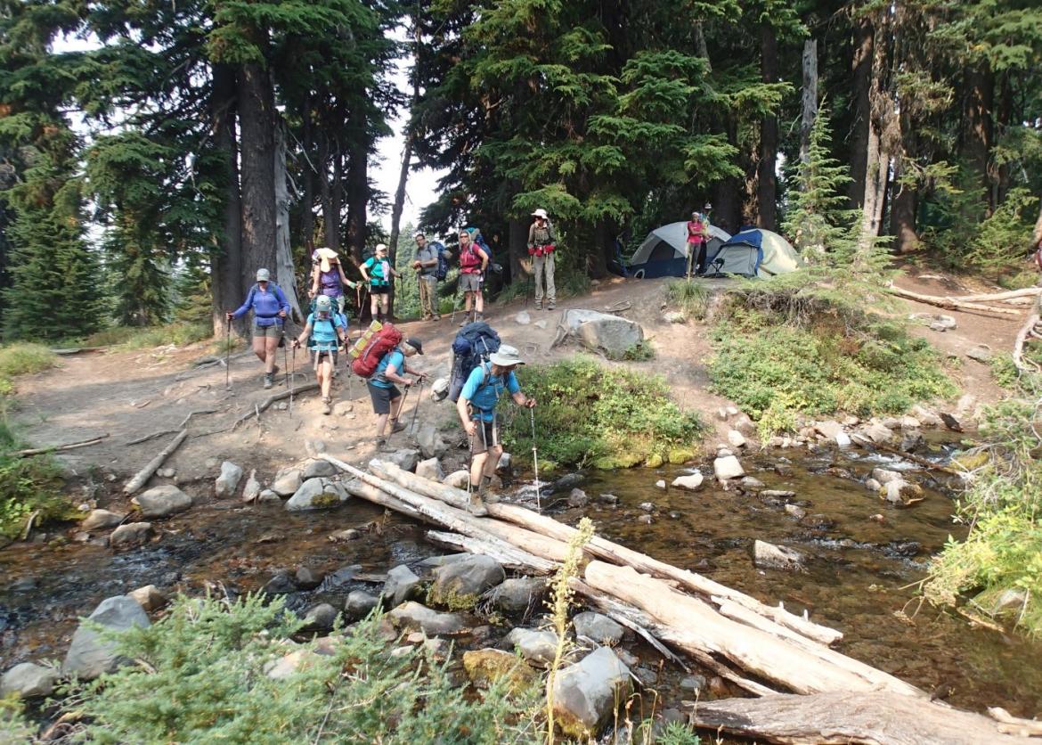 A tree trunk bridge over a river being crossed by hikers.