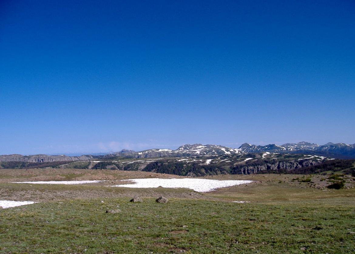 Beginner Backpacking in Colorado's South San Juan Wilderness