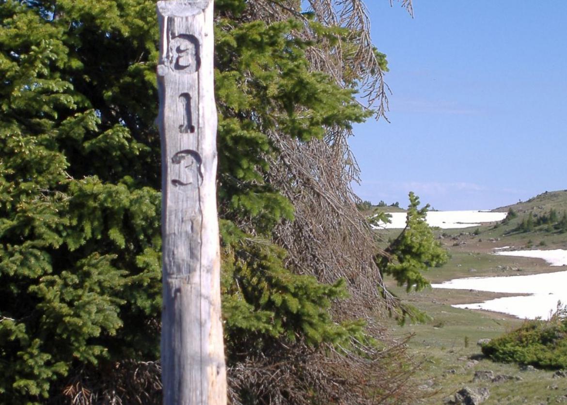 Beginner Backpacking in Colorado's South San Juan Wilderness