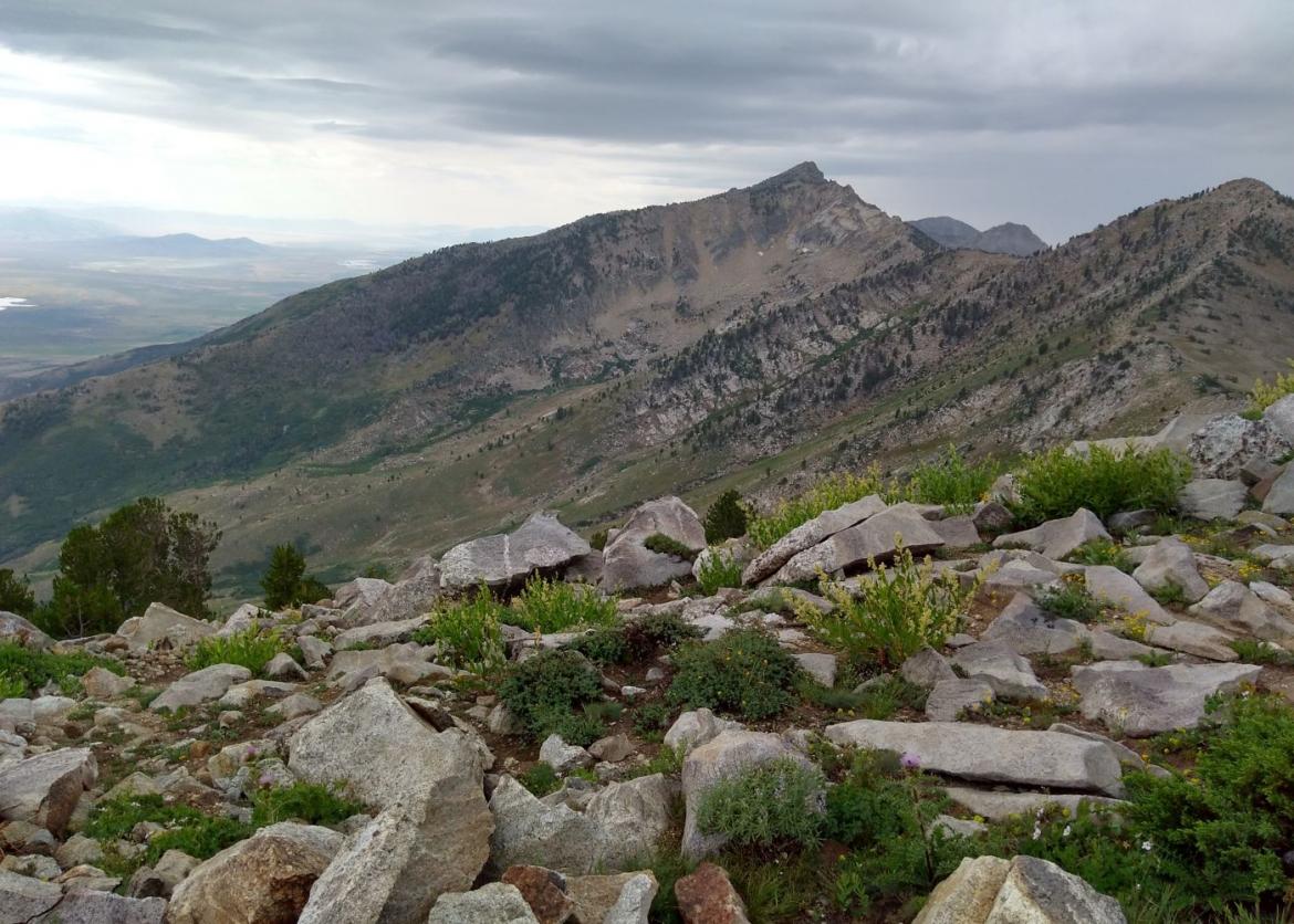 Brilliant Backpacking in Nevada's Ruby Mountains Wilderness