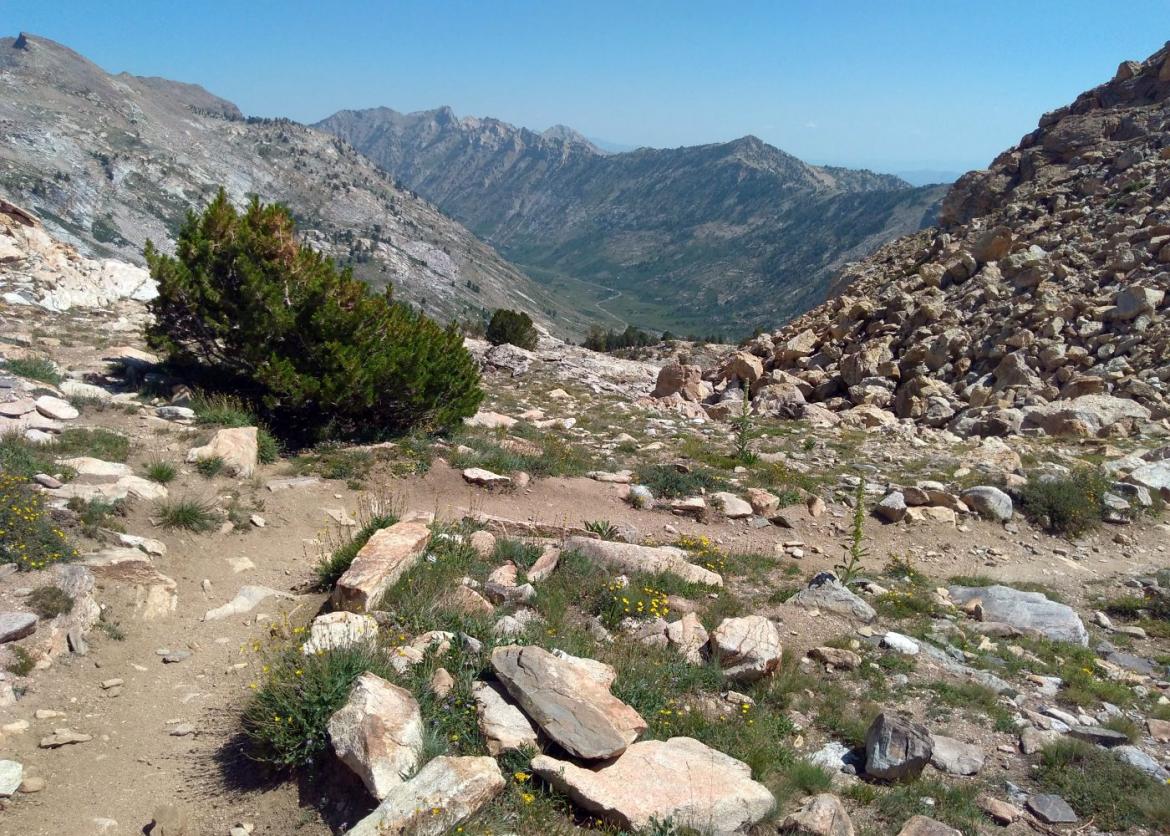 Brilliant Backpacking in Nevada's Ruby Mountains Wilderness