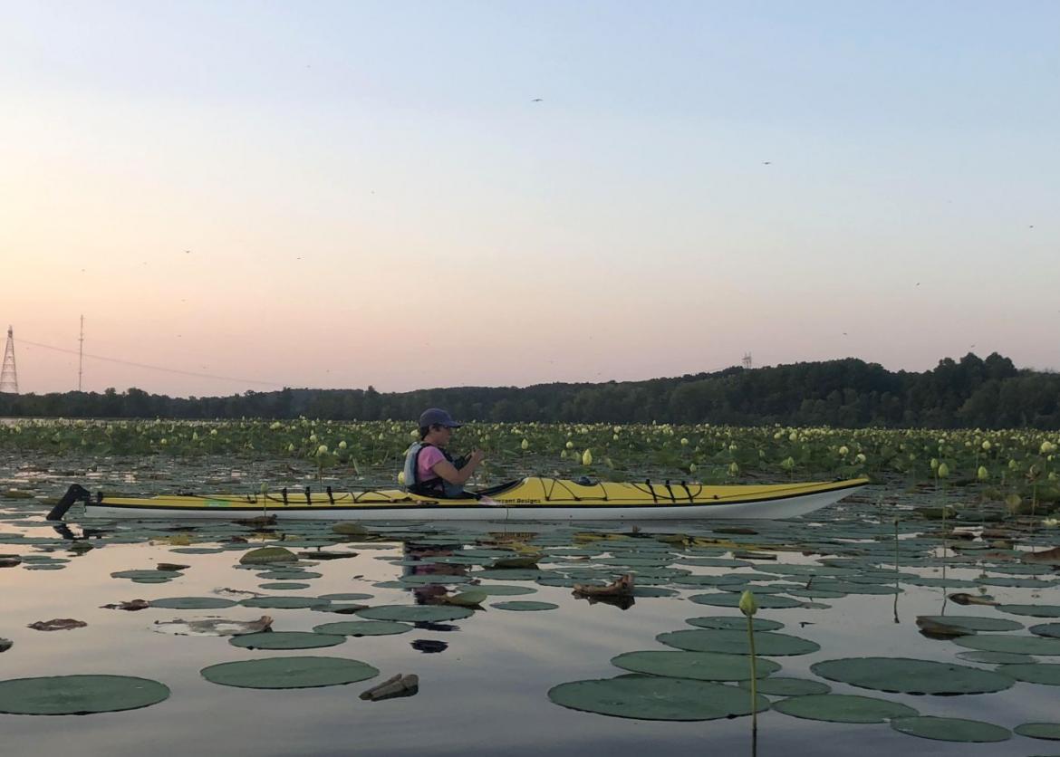 A man in a yellow canoe in the middle of the lake with lily pads.