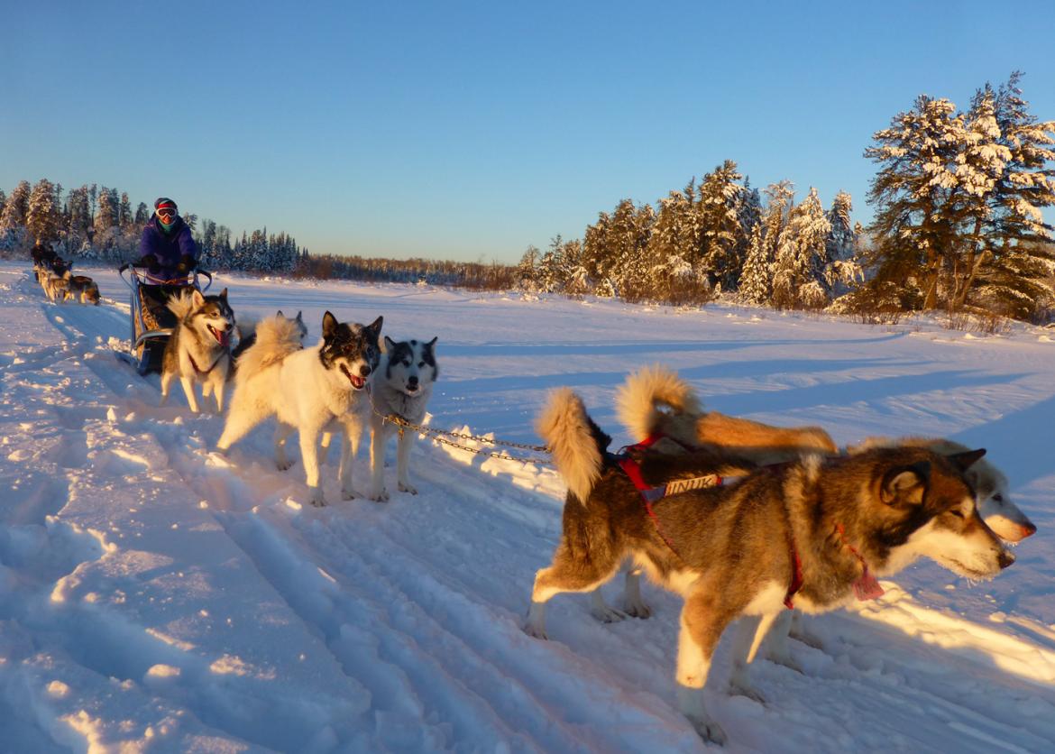 Boundary Waters by Dogsled: A Bucket List Adventure, Minnesota