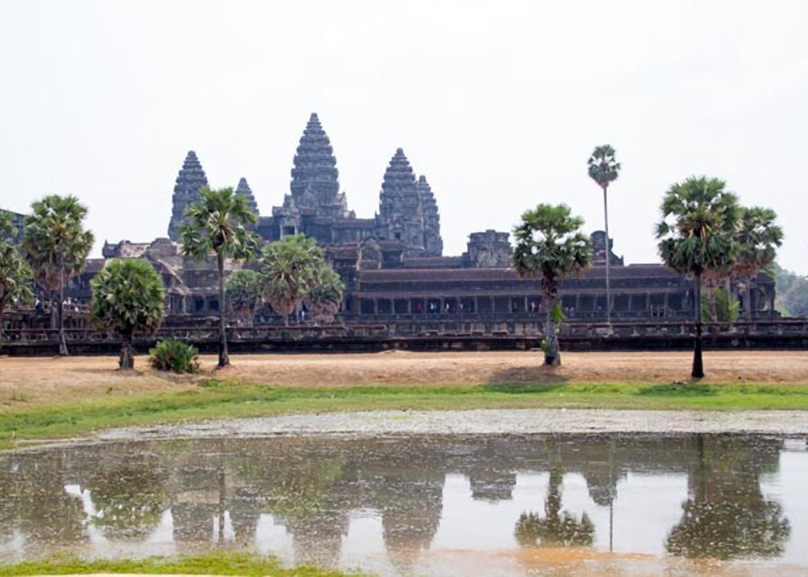 A traditional style building with tall tiered towers and long pavillion halls. It is seen through palm trees and across the surface of murky water.