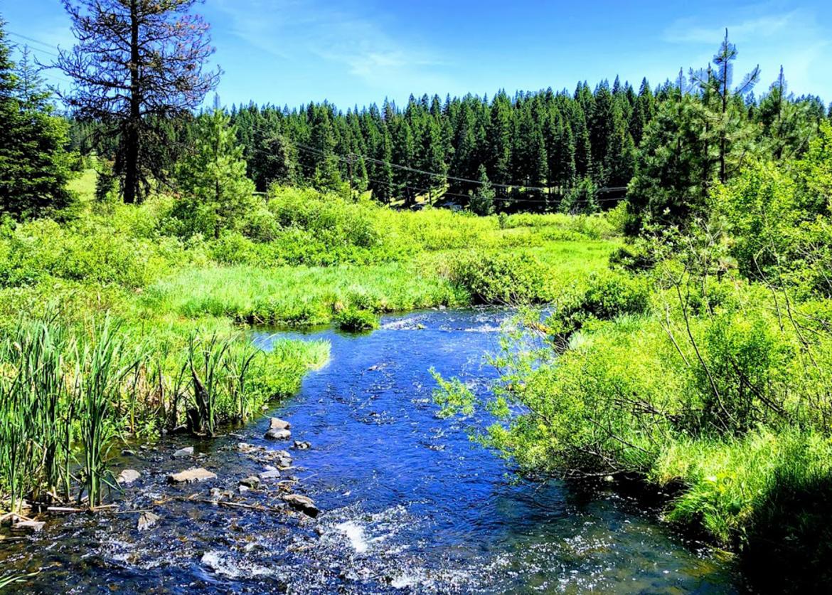 Celebrate Biodiversity at Cascade-Siskiyou National Monument, Oregon