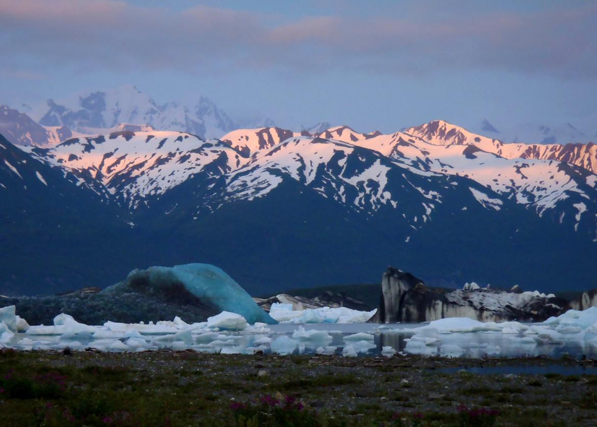 Wilderness Cruise on Alaska's Inside Passage: Wrangell to Juneau