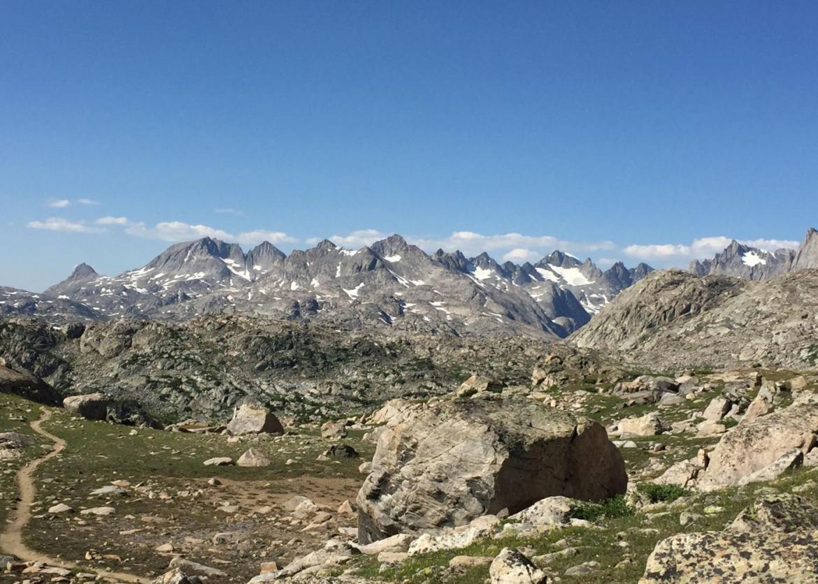 Tranquil Lakes, Granite Spirals, and Endless Wildflowers of Wyoming's Wind River Range