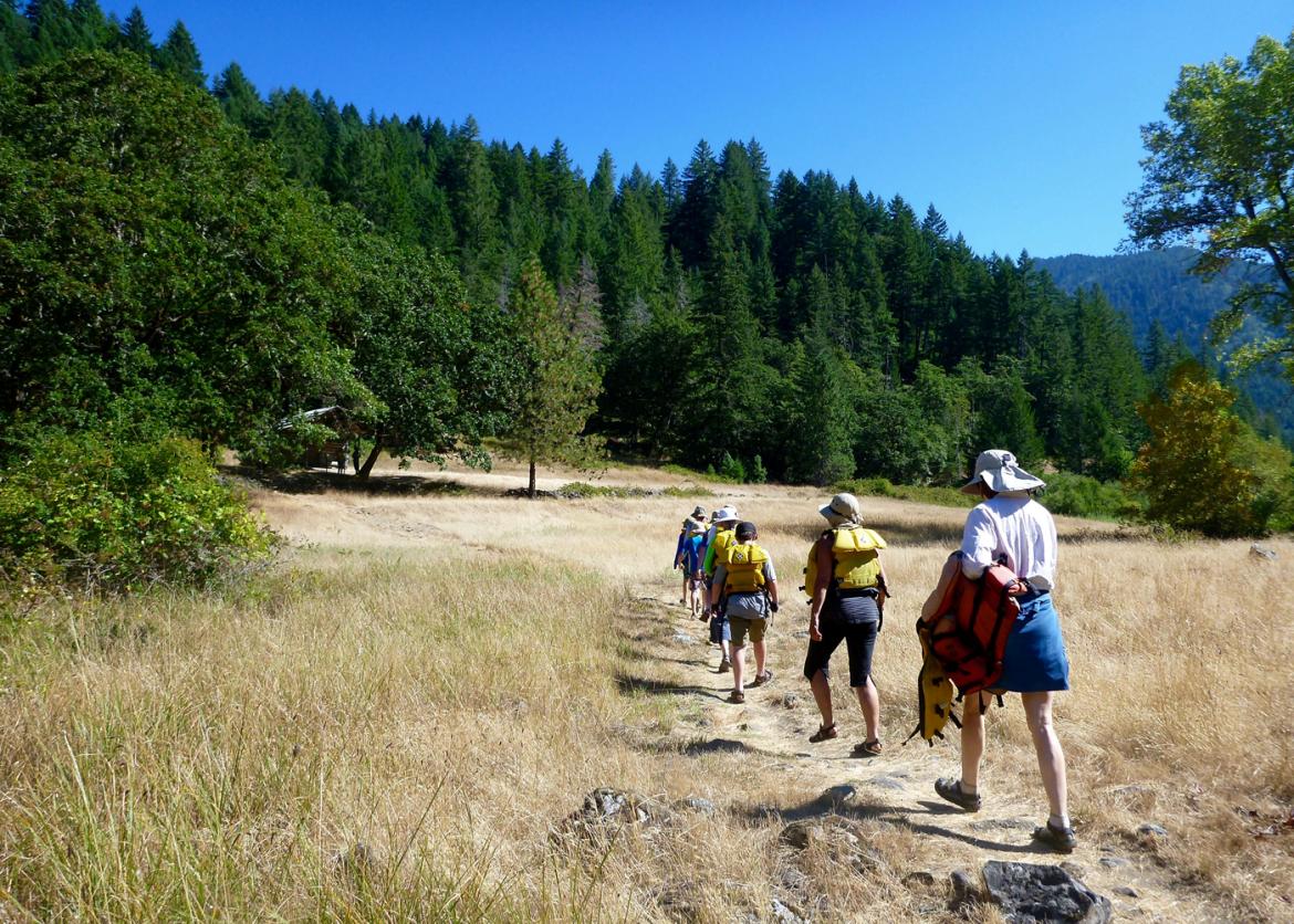 Hikers walk on a path through brown grass towards a forest.