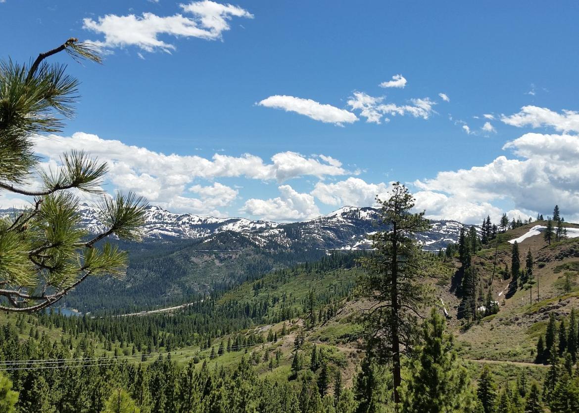 Sierra Sampler, Tahoe National Forest, California