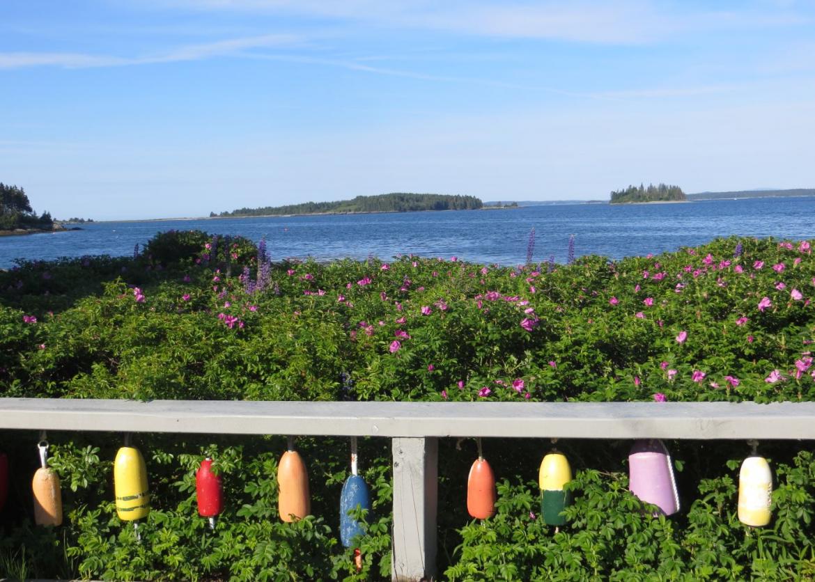 Downeast Maine: Lobsters, Whales, and Wildlife