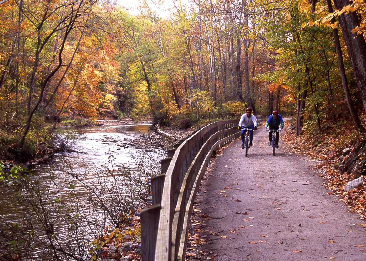 A trail with two bikers with orange, red, and yellow leaves.