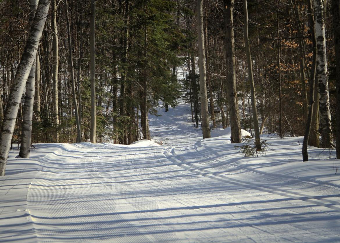 Cross-Country Skiing in the Adirondacks, New York