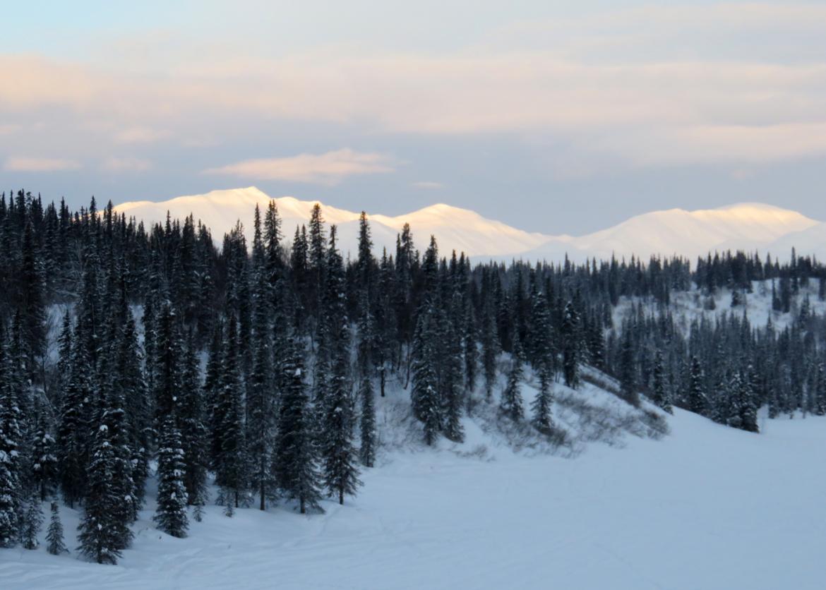 Cross-Country Skiing in the Shadow of Denali, Alaska