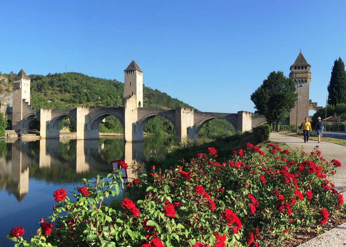 An old stone bridge with five arches and three towers crosses over the width of a river. Red flowers grow on the river bank. 