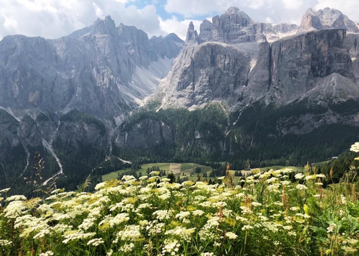 Day Hikes in the Dolomites: Treasures of South Tyrol, Italy