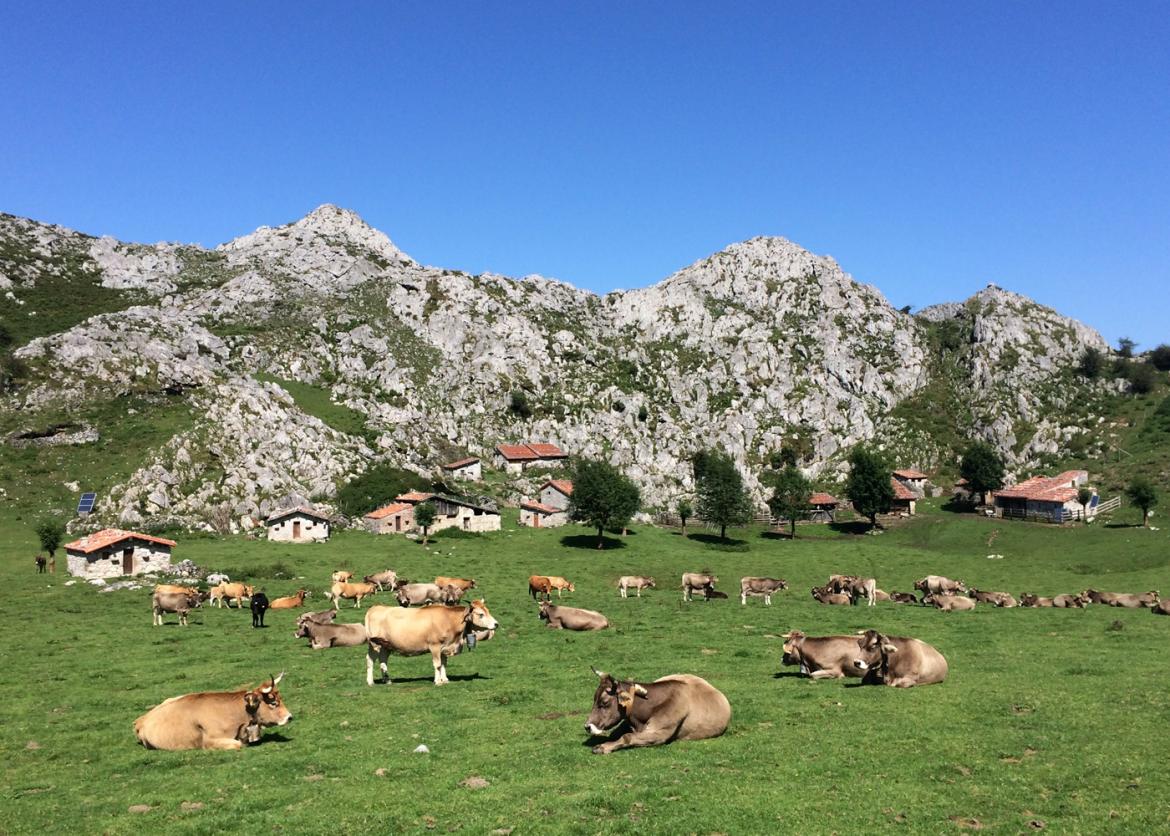 Hut-to-Hut in the Picos de Europa, Northern Spain
