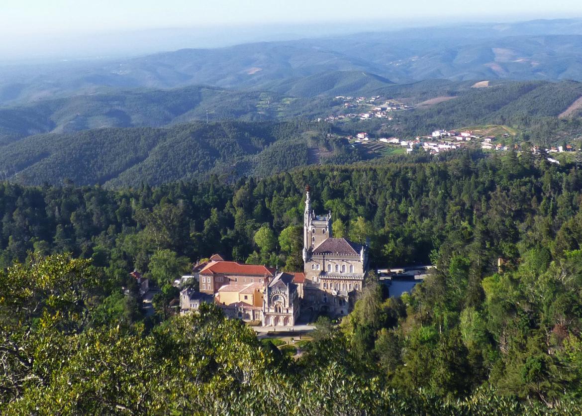 A church surrounded by forest.  Other towns lie in the far distance.
