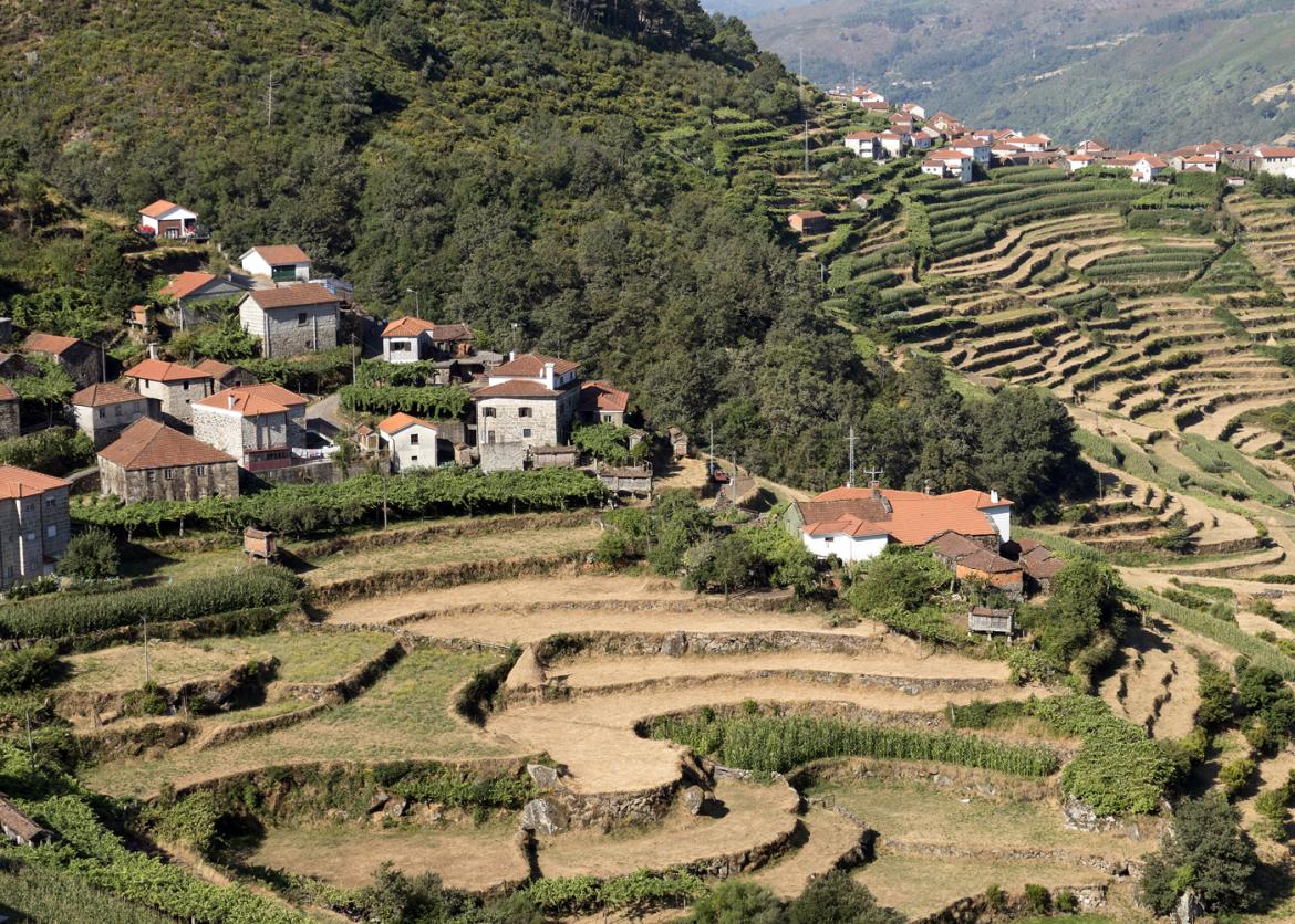 Houses overlooking slopes of flat dirt terraces.  The houses are stone with red roofs.