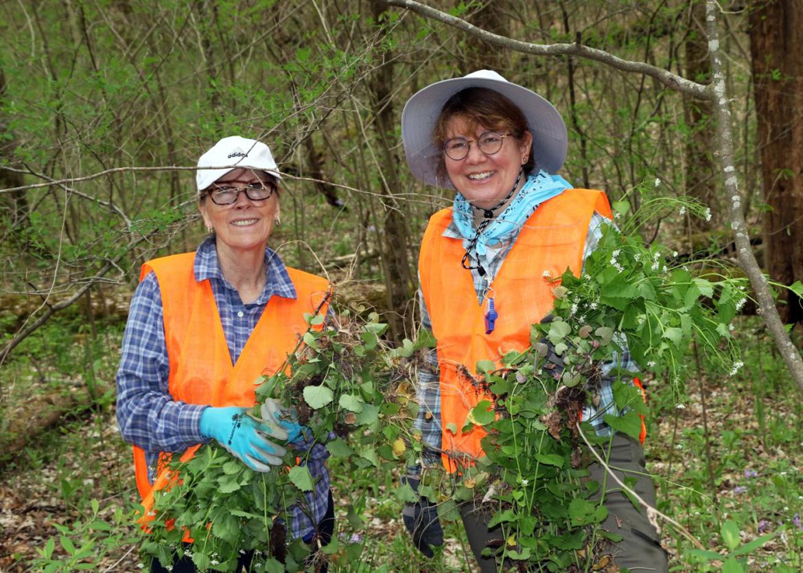 Two smiling participants in orange neon vests hold aloft fistfuls of uprooted plants.