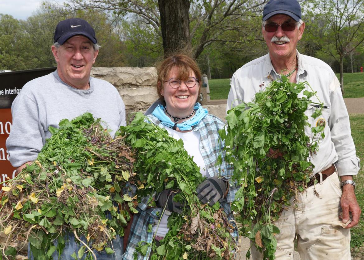Three smiling people hold up large bundles of uprooted plants.